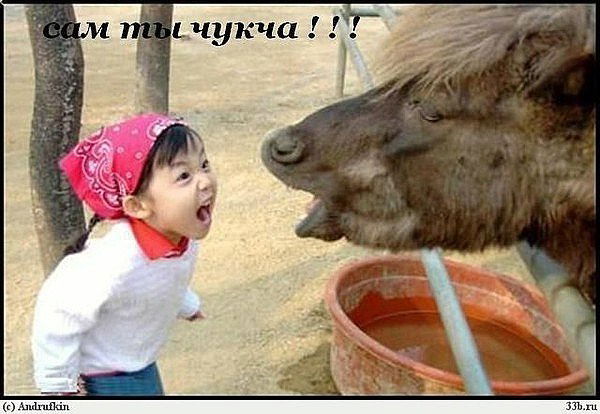 Дима Мордасов