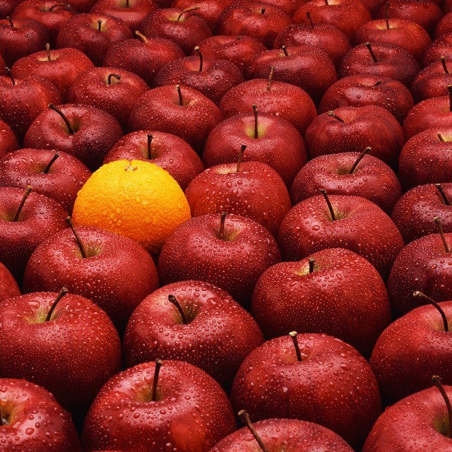 Забава Забава