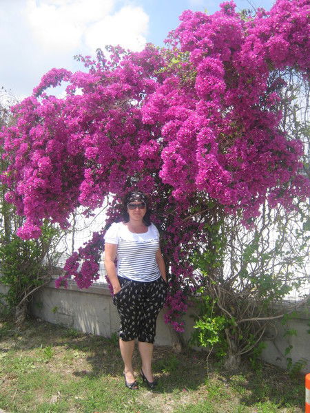 Светлана Мацевич