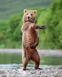 Алексей Медведев