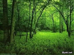 Юрий Емельянов