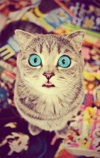 Данил Ларионов