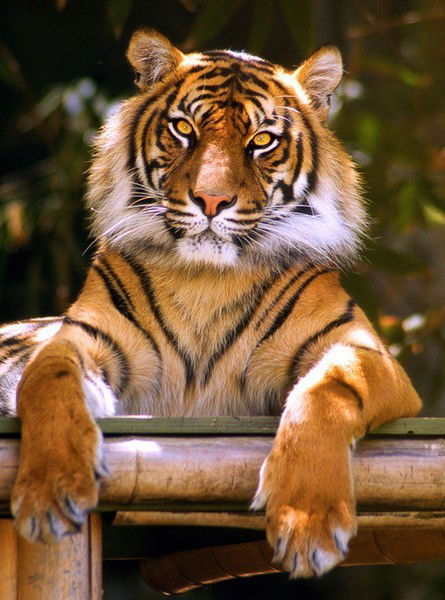 Вячеслав Уваров