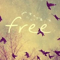 Дима Дегерменджи