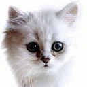 Мария Учарова