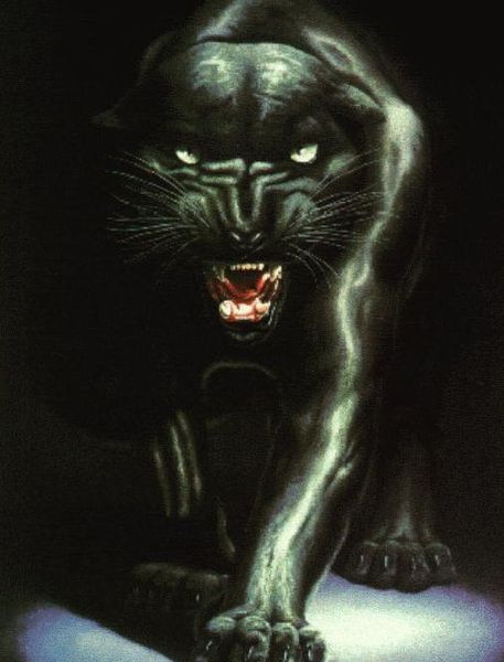 Чак Фортовый