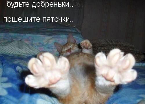 Людмила Злацкая