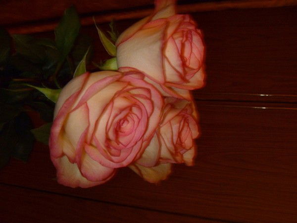 Ольга Топчиева