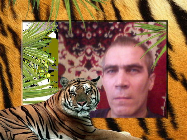 Виктор Андреев