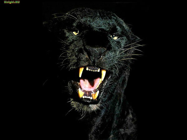 Панагуль Шынбаева