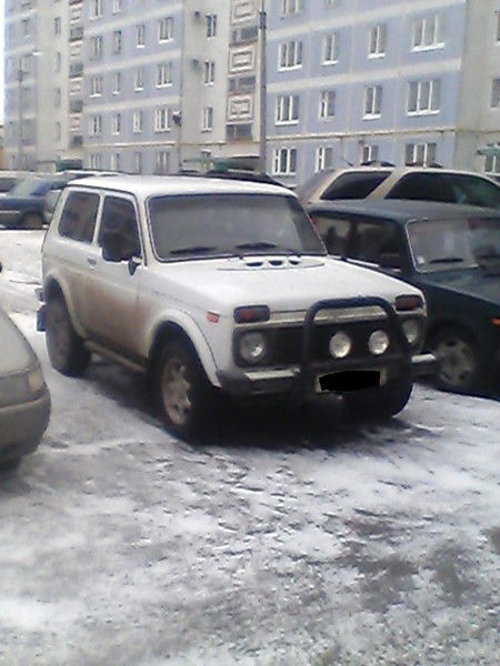 Светлана Мишина