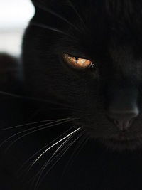 Владислав Васькин