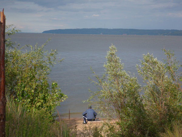 Алексей Францев