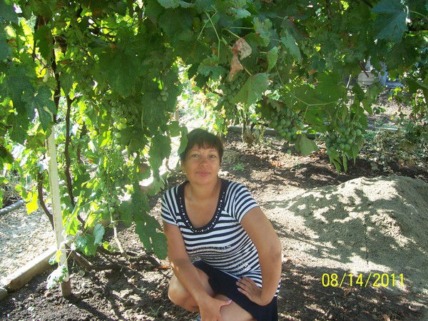 Людмила Гриненко