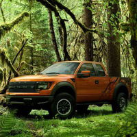 Дима Винокуров