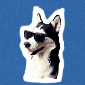 Леша Стаховский