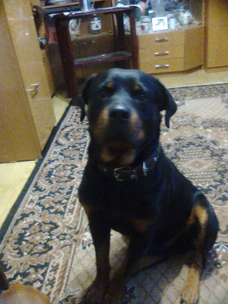 Олег Кутловский