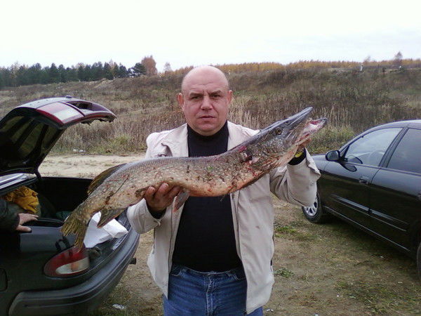 Вячеслав Никулин