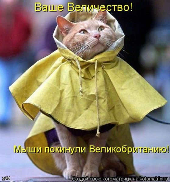 Маргарита Ершова