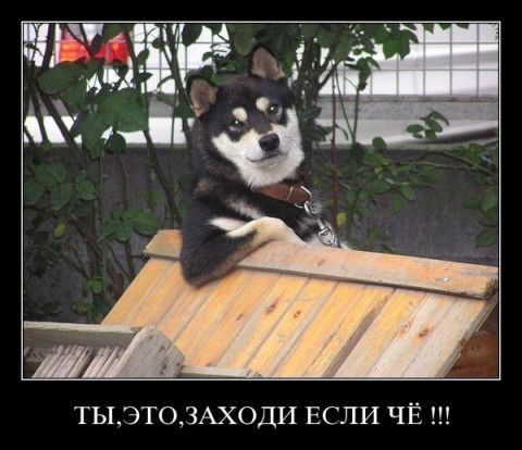 Кэт Федосина