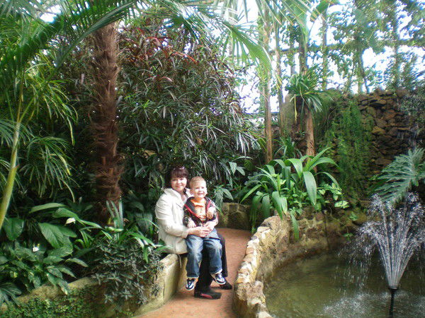 Елена Пахомова