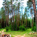 Александр Кошелев