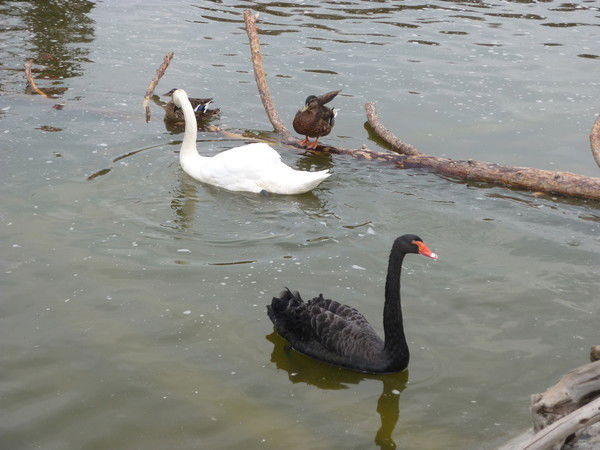 Екатерина Бузмакова