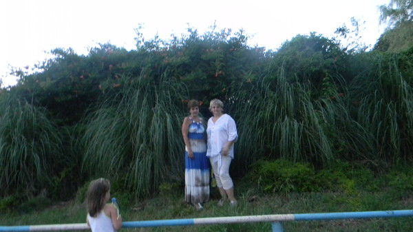 Елена Шаталова