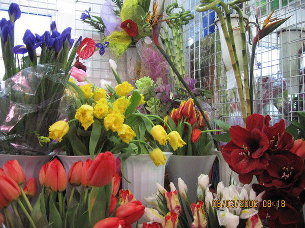 Ксюша Павленко