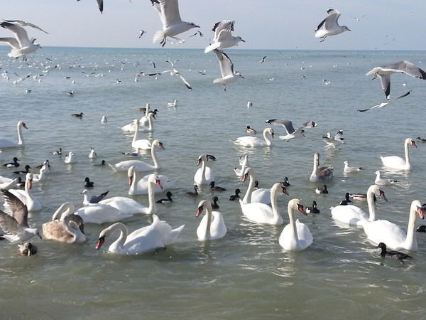 Наз Ермагамбетова