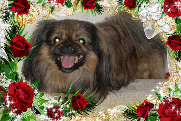 Елена !!!!!!!!!!