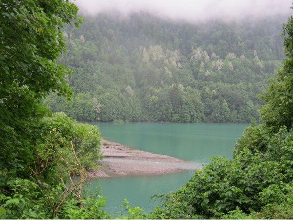 Виолетта Татаринова