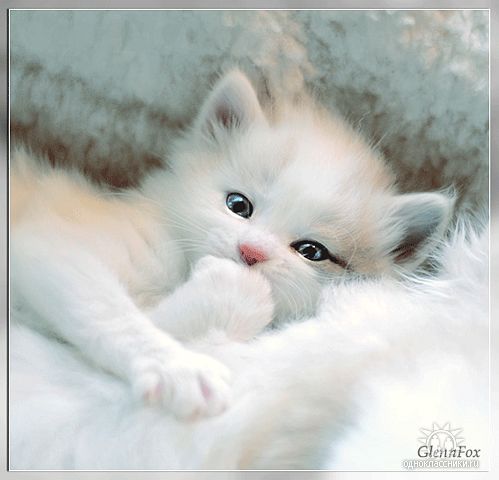 Ирина Угарова