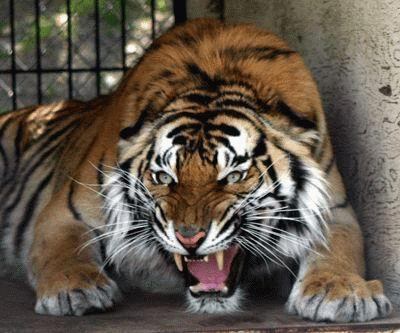 Людмила Кравченко