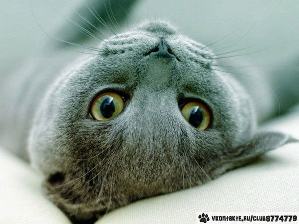 Леночка Болбатова