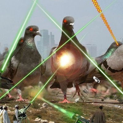 Миша Ситников