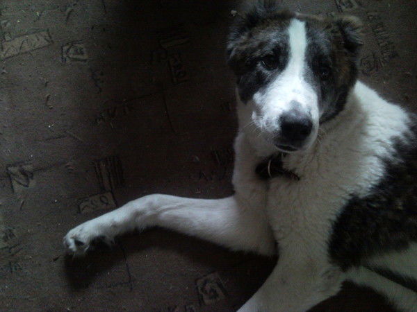 Александр Самый Умный))))