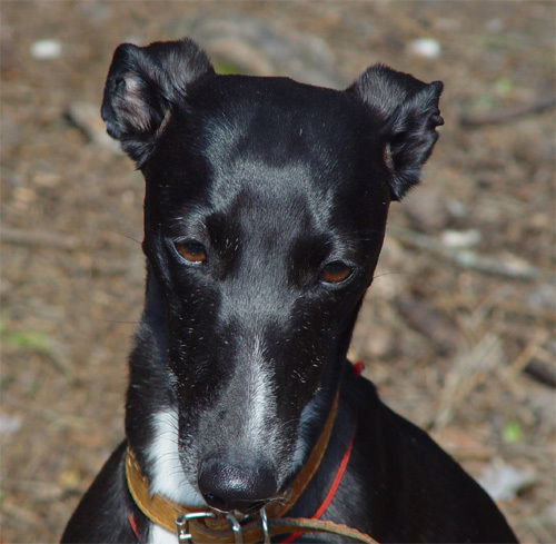 Наталья Логинова