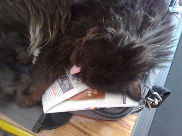 Андрюша Сергеевич