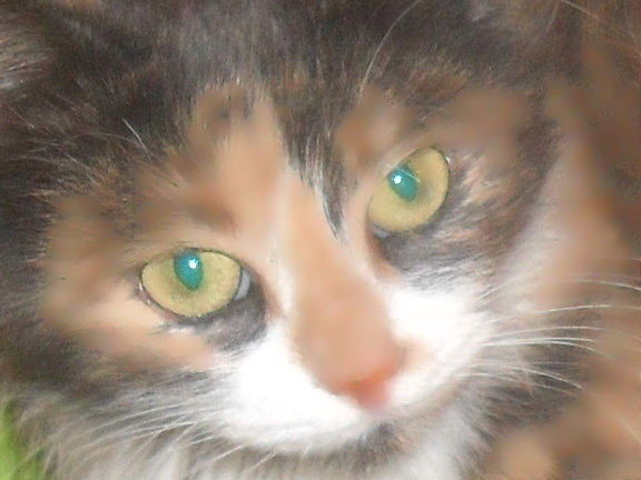 Юля Маслова