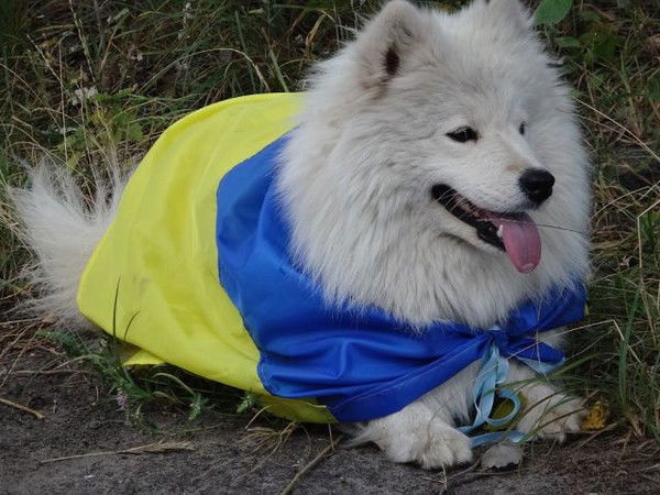 Виктория Колесникова