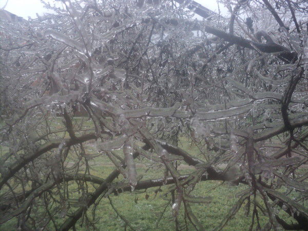 Людмила Королева