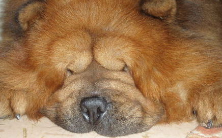 Юлия Ковинова