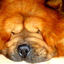 Юлия Ковинова