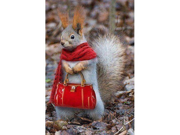 Наталья Белоусова