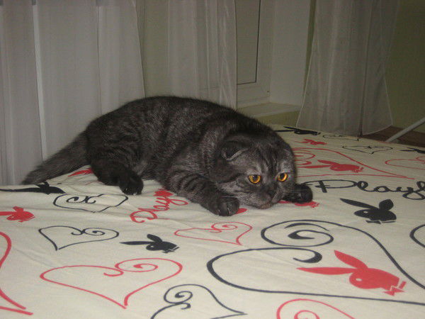 Екатерина Кукарских