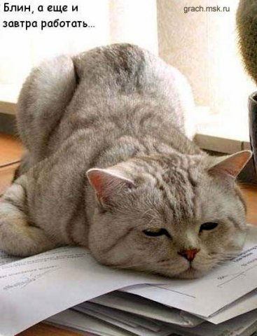 Лилия Фаткулина