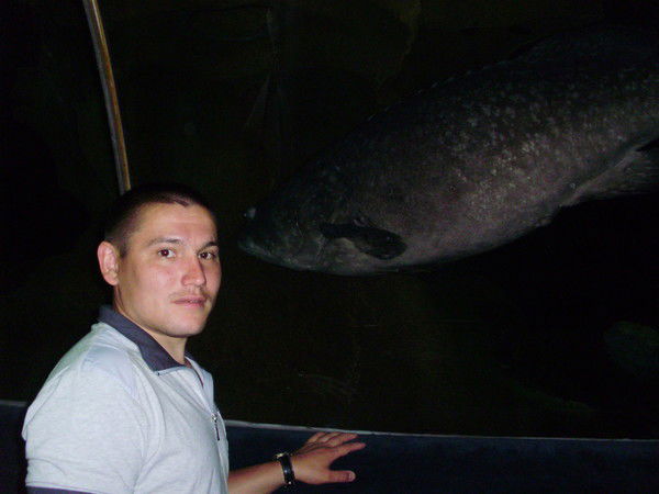 Тимофеев Андрей