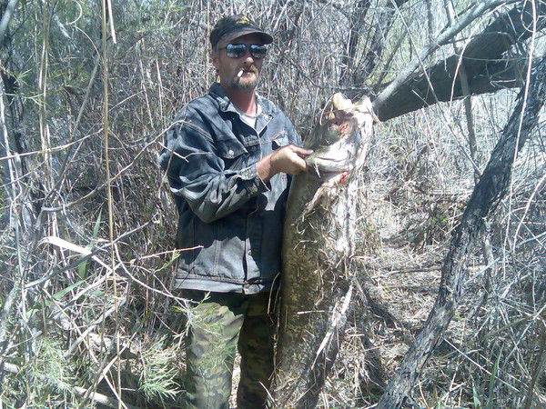 Александр Лобыкин