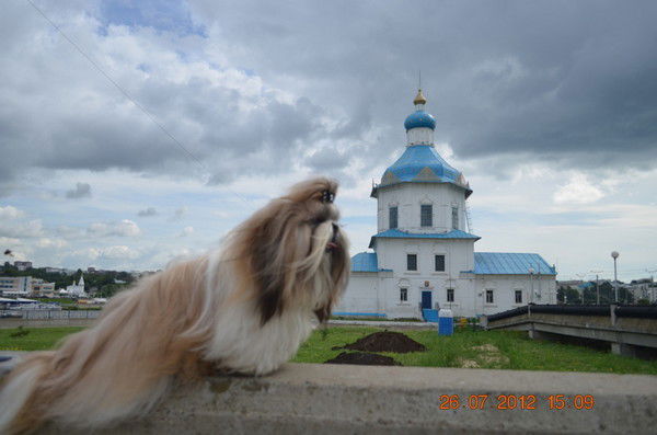 Яна Прохорова